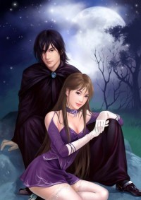 陆铭苏婉